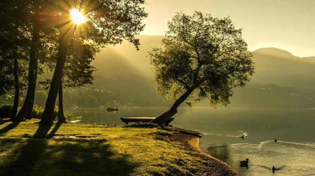 Climbing Arborist 3 landscape, summer, sunrise-1192669.jpg